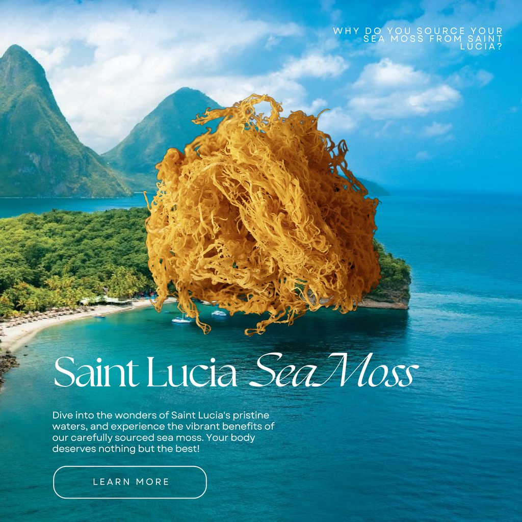 Saint Lucia Sea Moss
