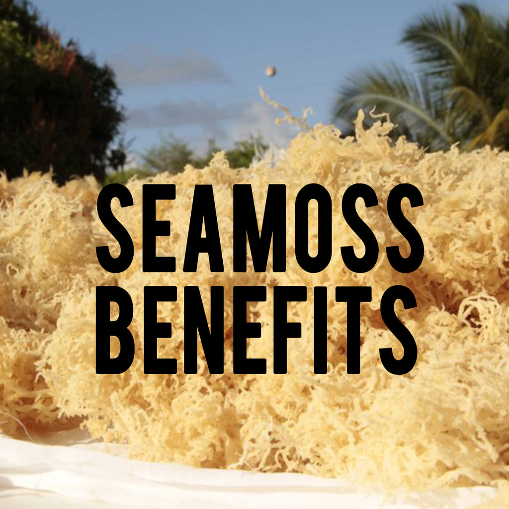 Sea moss Benefits