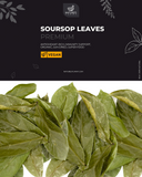 Premium Soursop Leaves