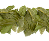 Premium Soursop Leaves