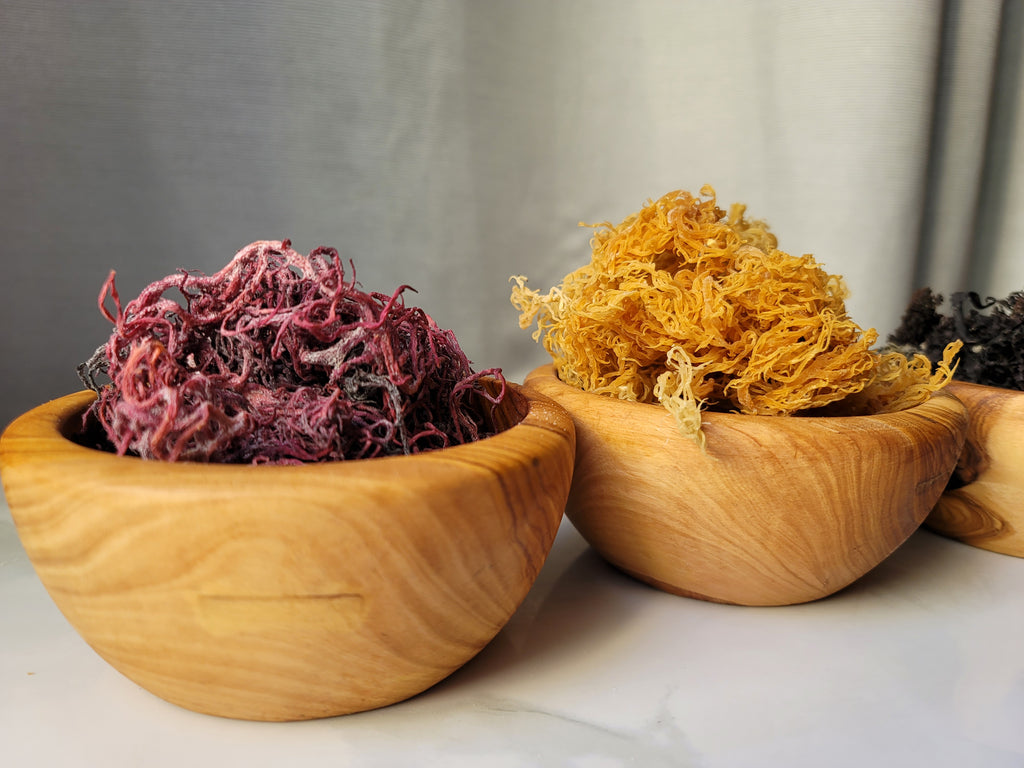 Organic Sea Moss | 100% Wildcrafted, Raw, Sun-Dried | Makes 65oz of Sea  Moss Gel | Gold, Purple (Gold)